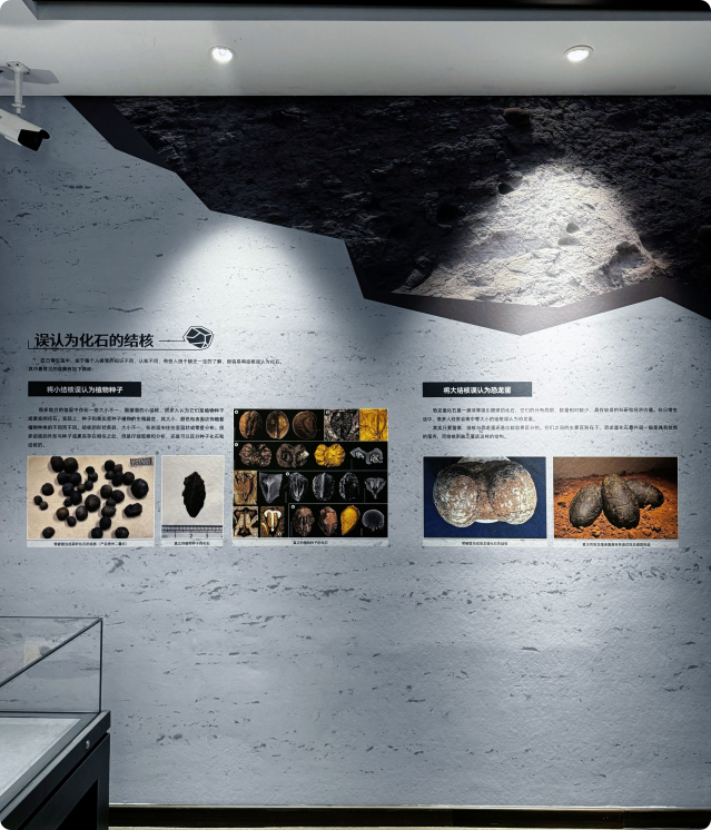 局部截取_20260430_120208.png