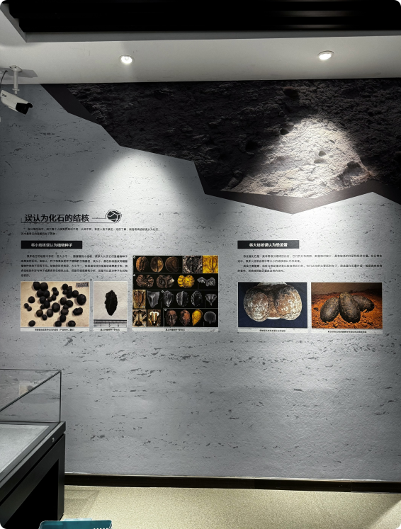 局部截取_20260430_120243.png